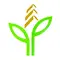Shankheshwar Group Of Companies Logo