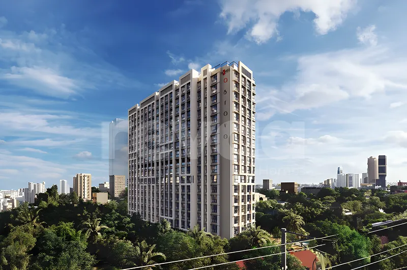 Romell Asrava Andheri banner 1