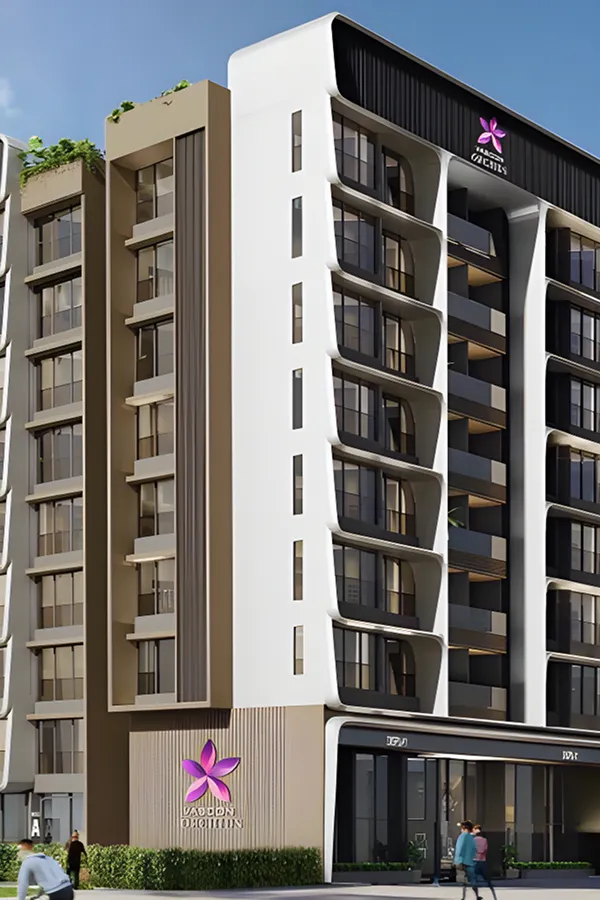 Vascon Orchids Santacruz lp 1