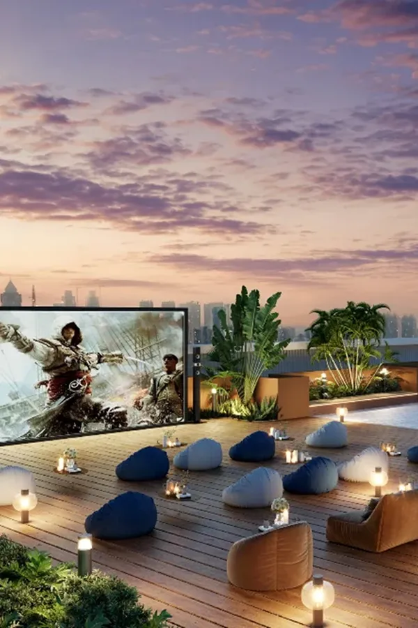 Vascon Orchids Santacruz lp 4