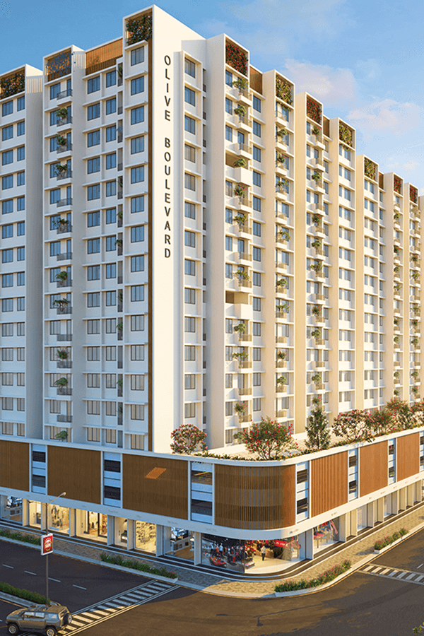 Olive Boulevard New Panvel lp 1